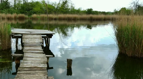 River reeds bridge Stock Footage 50060248
