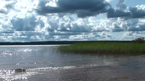 River, reeds, gray sky Stock Footage 68945041