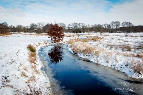 The river reest in winter time Stock Photos