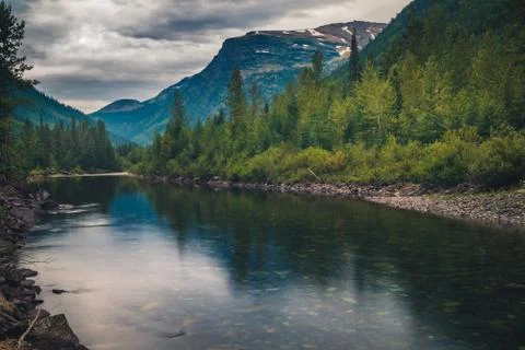 River reflecting a forest and trees. Stock Photos