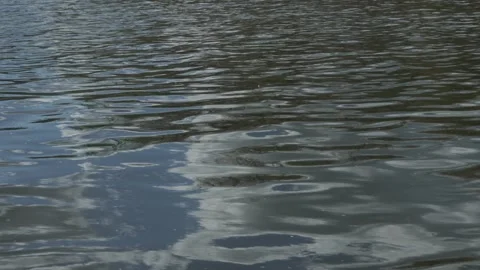 River Reflecting Trees and Sky – Calm Water Surface Close-Up Stock Footage 308398567
