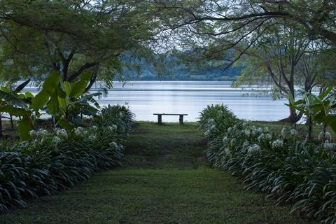 River reflection with tree  at night time Stock Photos