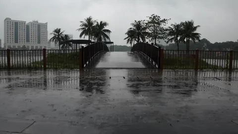 River Reflection with Trees During Rain – Nature Ambience 4K Stock Video 库存影片 321222989
