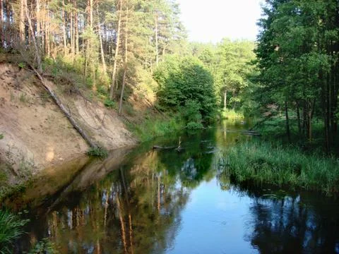 River with Reflection on the Water and Trees in the background and Clouds on the Stock Photos