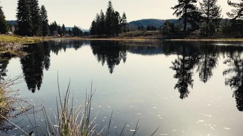River Reflections Stock Footage 188815316