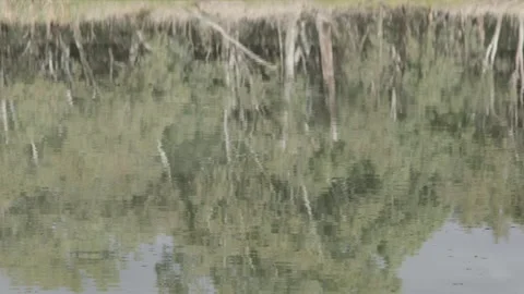 River reflections Stock Footage 238721610