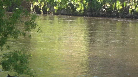 River-Reflections 動画素材 242752687