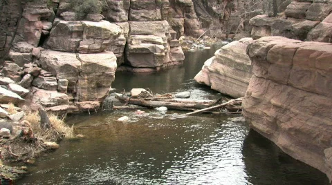 River remote with logs P HD 库存影片 373249