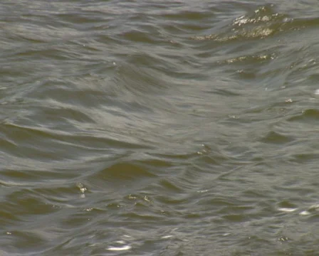 The river Rhine at Arnhem close-up Stock Footage 473450