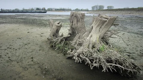 River Rhine near Dutch German border at historically low level water Stock Footage