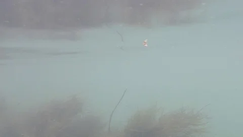 The river the Rhone in avignon Stock Footage 83213032