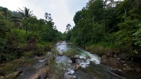 River ride with fpv drone shoot Stock Footage 314559944