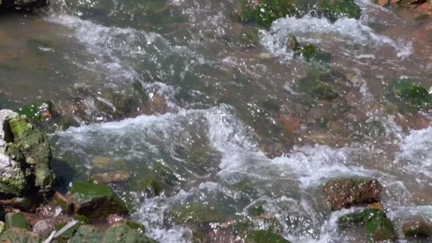 River riffle with foam and splashes flowing around large stones covered wit.. Stock Footage 334656257