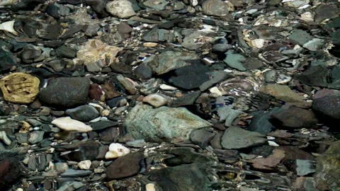 River Ripple 01 Stockbeeldmateriaal 155937222