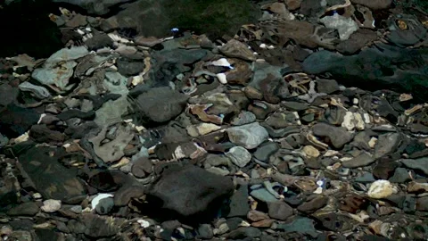 River Ripple 2 Stockbeeldmateriaal 155937905