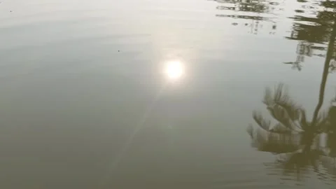 The river ripple of the river movement Vídeos de archivo 328403371