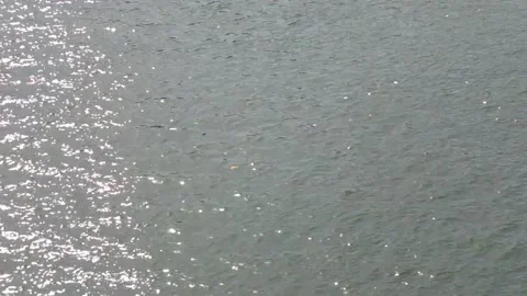 River ripples Stock Footage 154410505