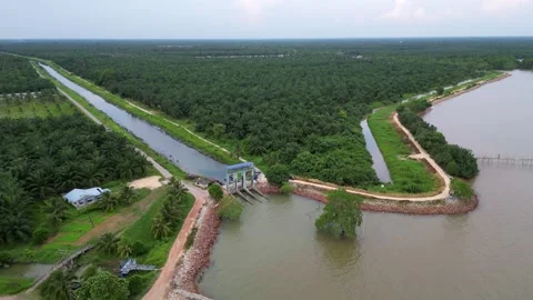 A river with river pump gate over it. Aerial Pantai Parit Hailam, Batu Pahat 스톡 동영상 325769542