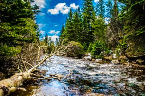 River in RMNP Stock Photos