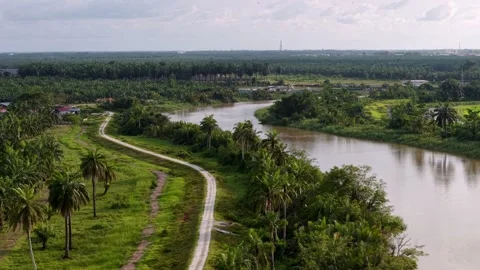River with a road running alongside it. Aerial Bandar Baharu, Kedah Video stock 317260143