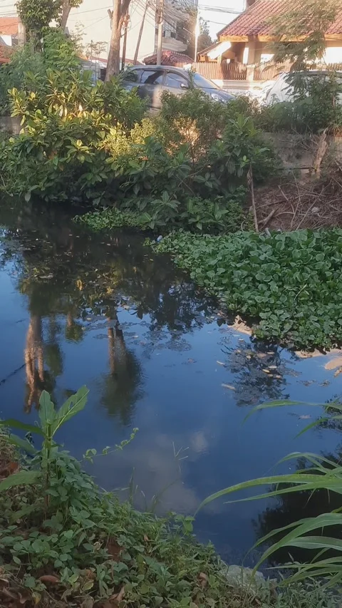 River by the Road, Vertical 4k Footage 库存影片 334329772
