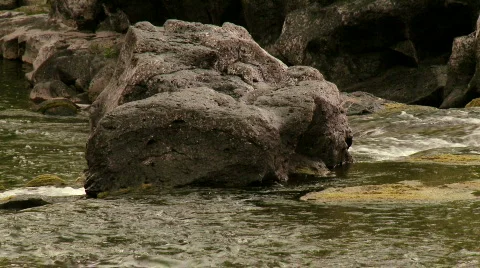 River Rock Видео 505228