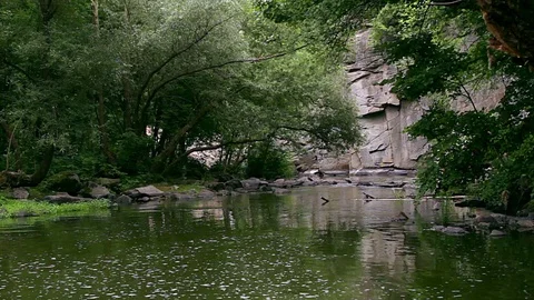 River in the rock Stock Footage 99360509