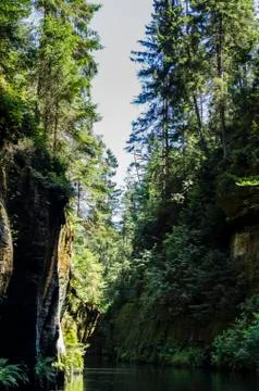 River rock forests Stock Photos