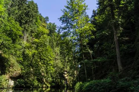 River rock forests Stock Photos