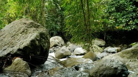 A river with a rock in the middle of it Stock Photos