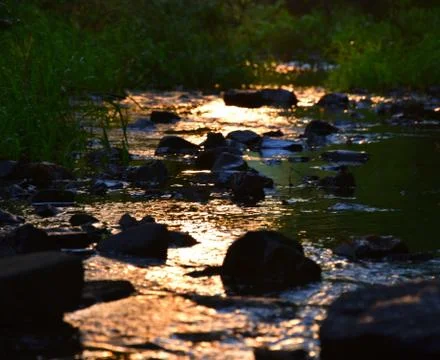 River with rock 写真素材