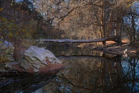River rock Foto stock