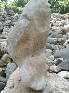 River rock Stock Photos