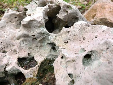 River rock Stock Photos