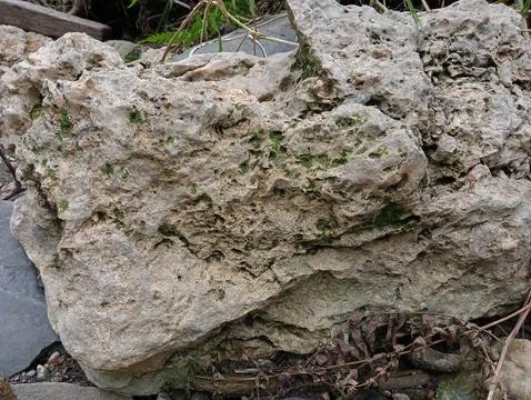 River rock Stock Photos