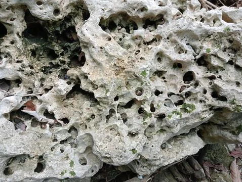 River rock Stock Photos