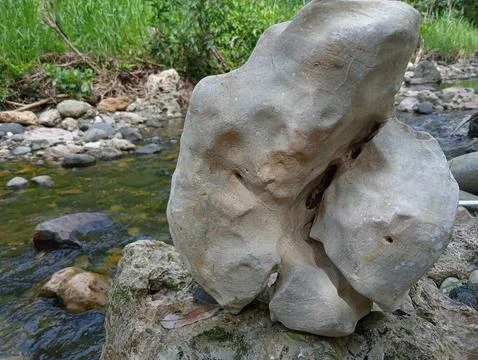 River rock Stock Photos