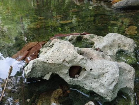 River rock Stock Photos
