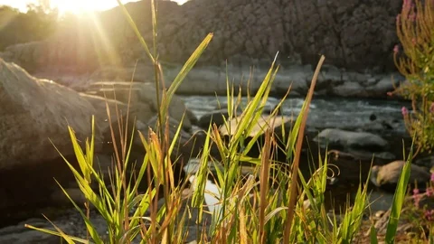 River rock sunset water Stock Footage 78707545