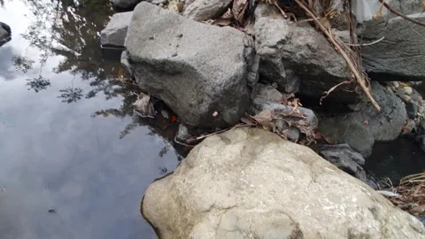 River rock texture in water flow Stock Footage 304648659