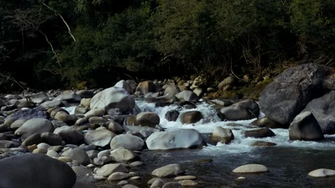River with Rocks and Flowing Stream Stock Footage 321320936