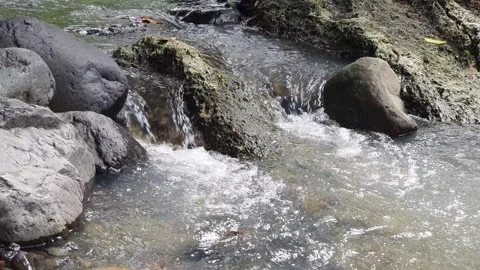 River rocks and flowing water Stock Footage 312419736