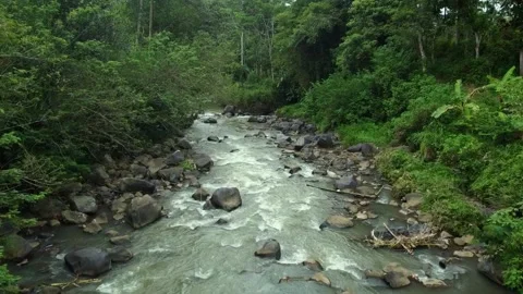 River with rocks and trees view Stock-Footage 230394529