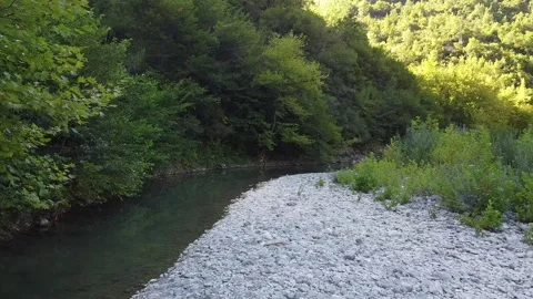River rocks and woods 動画素材 195180887