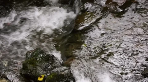 River On Rocks With Audio Stock Footage 7901486