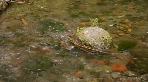 River with rocks with Audio Stock Footage 11143804