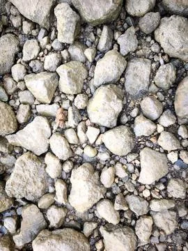 River Rocks Background Stock Photos