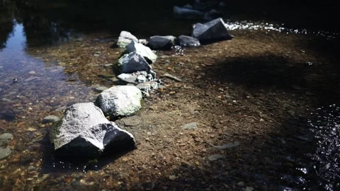 River rocks in clear shallow stream sunlit stones form a natural path across tra Stock Footage 312335390