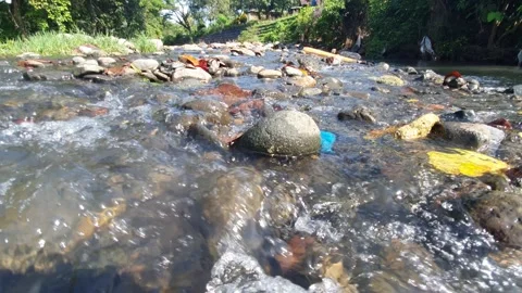 River rocks in clear water stream Stock Footage 303830505