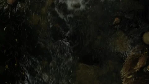River with Rocks, Flowing Water and Sun Reflection Stock Footage 315953571
